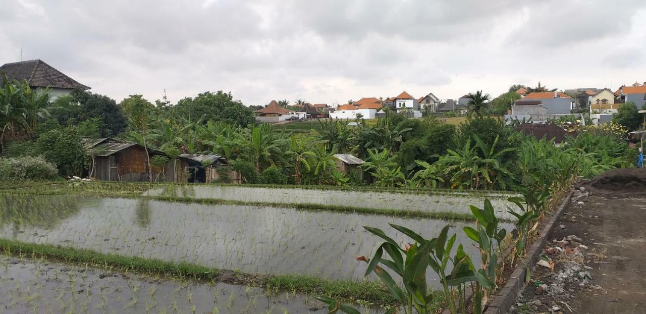 Pd Bali Guesthouse Canggu  Exterior photo