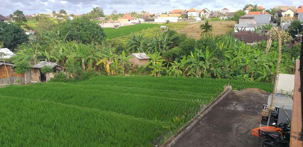 Pd Bali Guesthouse Canggu  Exterior photo